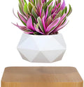 MagicGrow - Flydende bonsai potte med magnetisk levitation
