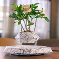 MagicGrow - Flydende bonsai potte med magnetisk levitation