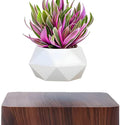 MagicGrow - Flydende bonsai potte med magnetisk levitation