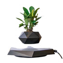 MagicGrow - Flydende Bonsai