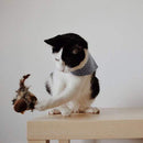 PurrFlight - Simuleret kvidrende fuglekattelegetøj med ægte