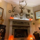AnimalCraft - Abstrakt dyrehoved skulptur i moderne design