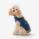 Pawtastic - Hundetrøje med Græskar Design
