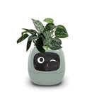 LeafTalk - Smart AI-plantepotte med stemmerespons og