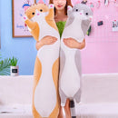 PawLoom - Cat pillow with adorable design