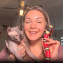 CatCharm magisk slangelegetøj