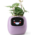 LeafTalk - Smart AI-plantepotte med stemmerespons og