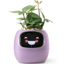 LeafTalk - Smart AI-plantepotte med stemmerespons og