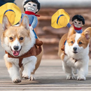 BarkRider - Cowboy Hundekostume med Rytter