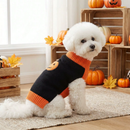 Pawtastic - Hundetrøje med Græskar Design