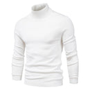 David – Slim fit sweater med rullehals og lange ærmer
