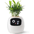 LeafTalk - Smart AI-plantepotte med stemmerespons og