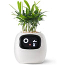 LeafTalk - Smart AI-plantepotte med stemmerespons og