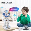 Playbot