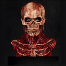 Blodig Skeletmaske til Halloween Kostume