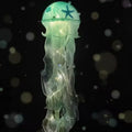 JellyGlow - Vandmand LED natlampe med beroligende glød