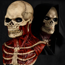 Blodig Skeletmaske til Halloween Kostume