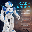 Playbot