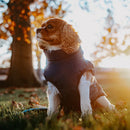 PawPro 3-i-1 hundejakke