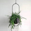 Moderne plantepotte i glat mørk finish