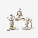 Halloween Skelet Figurine Dekoration