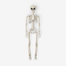 NightRaven - Animeret Halloween Skelet Dekoration