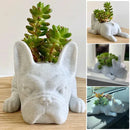 PupBloom - Hundeformet plantekasse