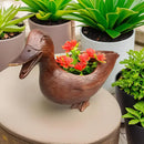 QuackyPlanter - Andeformet urtepotte