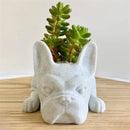 PupBloom - Hundeformet plantekasse