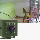 NestView – Fuglekiggeri WiFi Nest-kamera med nattesyn