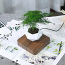 OrbitGrow - Svævende bonsai-potte med 360° roterende display