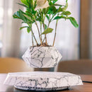 OrbitGrow - Svævende bonsai-potte med 360° roterende display