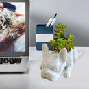 PupBloom - Hundeformet plantekasse