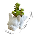 PupBloom - Hundeformet plantekasse