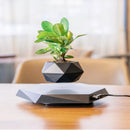 OrbitGrow - Svævende bonsai-potte med 360° roterende display
