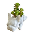 PupBloom - Hundeformet plantekasse