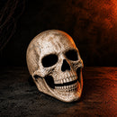 GrimSkull - Fuldhoved Skull Maske med Detaljeret Design