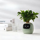 LeafTalk - Smart AI-plantepotte med stemmerespons og