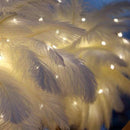 FeatherGlow - Stilfuld strudse-natlampe med rosaguld base