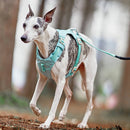 PawStrap - Anti-træk hundesele med dobbelte D-ringe