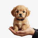 PawMotion - Interaktiv Plys Hund med Berøringsaktiveret Bevægelse og Gøen