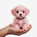 PawMotion - Interaktiv Plys Hund med Berøringsaktiveret Bevægelse og Gøen